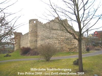 Hillesheim 11 ZLZ %