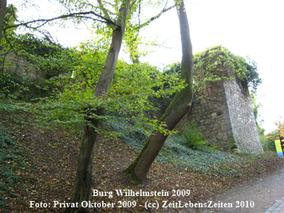 WILHELMSTEIN (1)%%